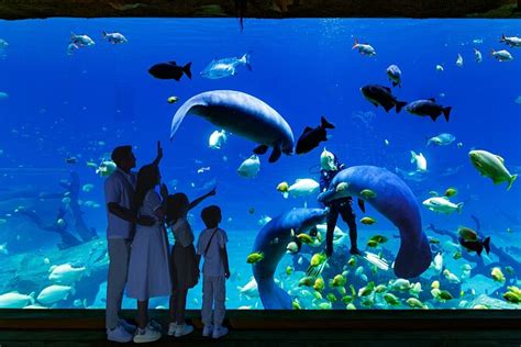 2025 Chimelong Spaceship Theme Park (Zhuhai) - with Reviews