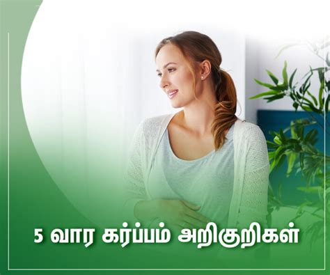 5 வார கர்ப்பம் அறிகுறிகள் | 5th Week Pregnancy in Tamil