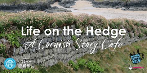 A Cornish Story Cafe - Life on the Hedge, Pendeen Parish Hall, Church ...