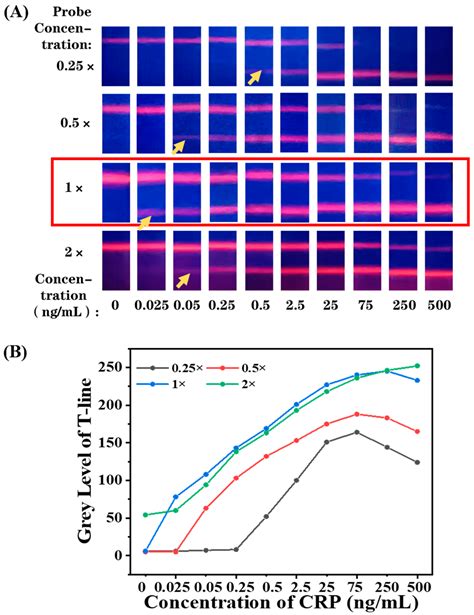 Eu-Chelate Polystyrene Microsphere-Based Lateral Flow Immunoassay ...