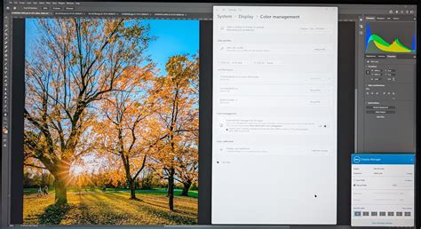 Image result for Fix Color Problem in Photoshop