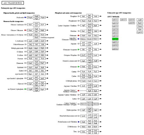 Preliminary Proteomic and Metabolomic Analyses Reveal Potential Serum ...
