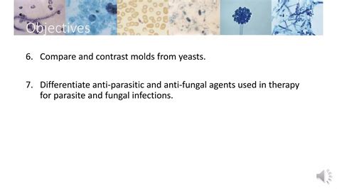 Instructor Introduction 的图像结果