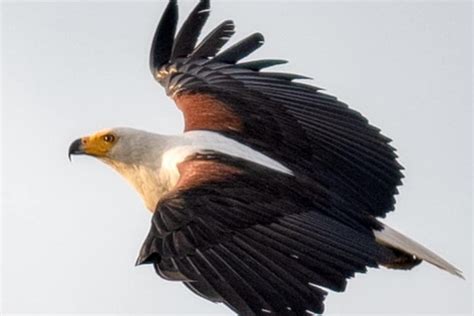 2025 Kwanza River Tour (Luanda) - with Reviews