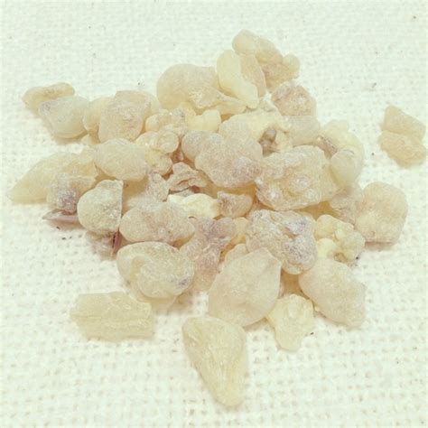 乳香 樹脂 フランキンセンス 生(しょう) 15g オマーン産 | 香りの相談室 zitrone