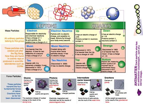 Image result for Particle Types