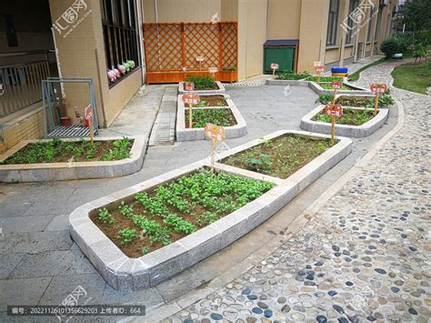 上海市长宁区人民政府-社区-新华路这里建了个“口袋小菜园”，小朋友们也来“挖呀挖呀挖”