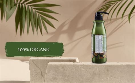 Buy Scentio Hair Professional Argan Oil Therapy Shampoo, 500 ml(Made In ...