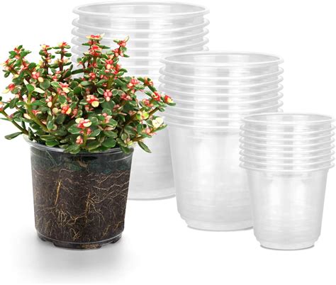 Amazon.com: UUYYEO 6 Pcs Transparent Plastic Plant Pots Clear Flower ...