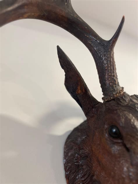 19th C Black Forest Stag Head Antler Wall Mount Deer Sculpture For Sale ...