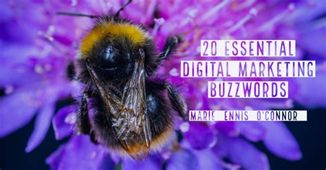 Image result for Algorithm Buzz Words