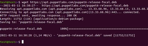 Image result for Puppet Install