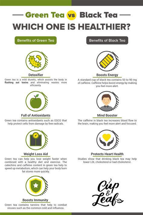 Caffeine In Green Tea Vs Coffee at Rae Johnson blog