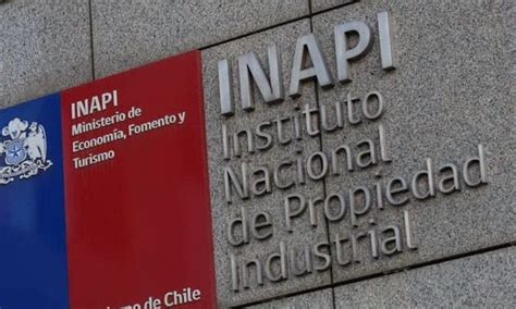 Image result for Inapi Chile