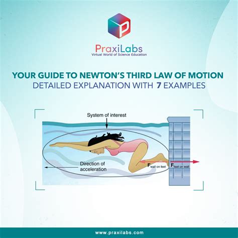 Newton's Third Law Fully Explained with Examples -praxilabs