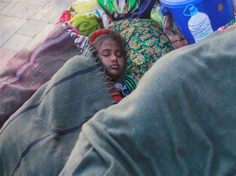 Cold wave: Northern states shiver under tough conditions