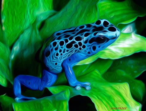 1080P, Poison dart frog, Frogs, Blue Poison Dart Frog HD Wallpaper