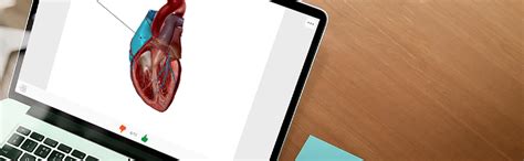 Image result for Visible Body Courseware