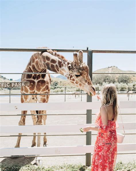 Group Getaway Ideas in Malibu, CA | Venue Report