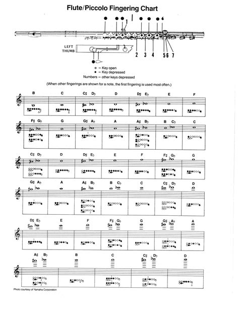 Image result for Advanced Flute Finger Chart