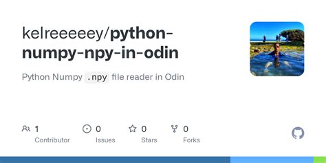 Image result for How to Open Numpy File in Python