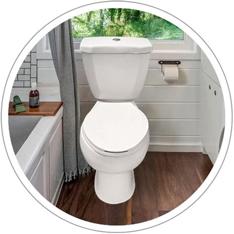 LiftAssure 2-Piece Rear Outlet P-trap Toilet Design | White India | Ubuy