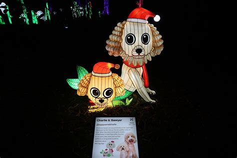 New York's Luminocity festival lights up with dreams and cuteness ...