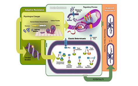 Incubator Program | Xylem India