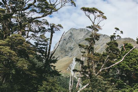 House of Deaux - Dottie's Basecamp