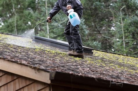 How To Remove Moss From a Roof