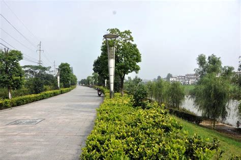 滁州市水利局网站：河湖长制助力滁州水环境治理取得大成效_安徽省水利厅