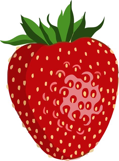 Shiny Strawberry Vector Graphic image - Free stock photo - Public ...