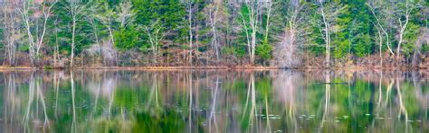 Image result for Meting Reflection Spring