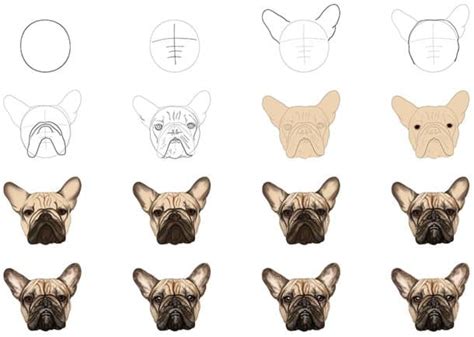 Image result for Dog Face Tutorial