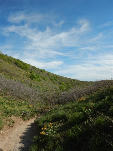 Living Room Hike Trail Map | Cabinets Matttroy
