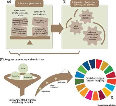 Beyond ecology: ecosystem restoration as a process for social ...