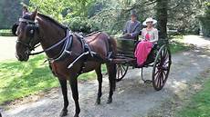 carrozze cavalli attacchi a singolo cavallo carrozze ad agli 232 2015 carrozze cavalli attacchi a singolo cavallo carrozze ad agli 232 2015