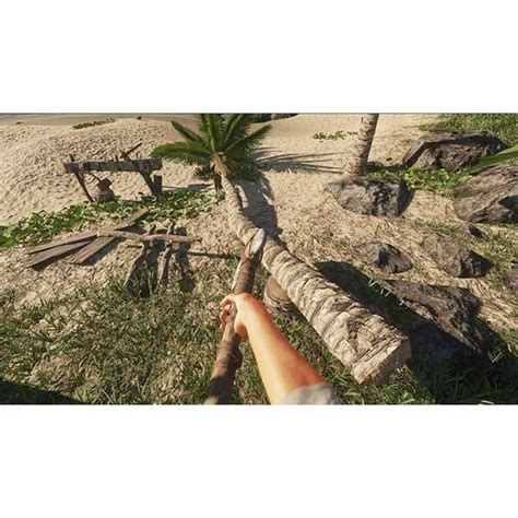 Rezultat imagine pentru Stranded Deep Switch