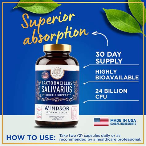 WINDSOR BOTANICALS Oral Dental Probiotic Capsules for Bad Breath, Teeth ...