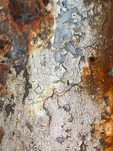 Image result for Rusty Frame Texture