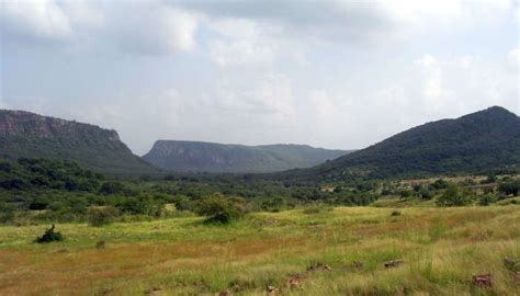 10 Things To Do In Ranthambore For You To Fall In Love With Nature