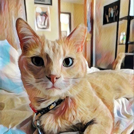 Understanding Body Language: How to Decode Nonverbal Communication in ...