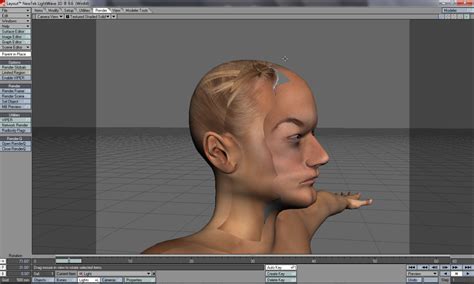 Image result for Lightwave Texturing Tutorial