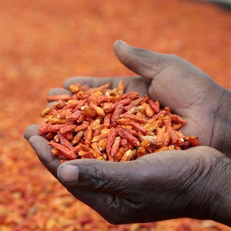 Project Examples | Invest for Jobs