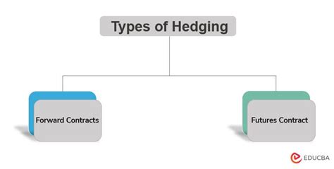 Hedging Example 的图像结果
