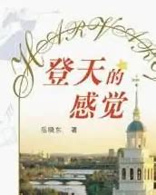 登天的感觉（2004年上海人民出版社出版的图书）_百度百科