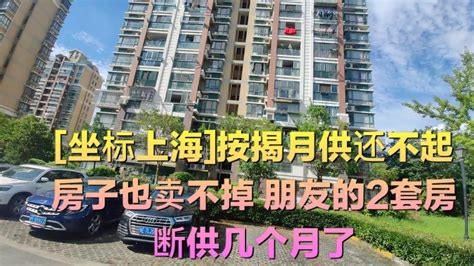 [坐标上海]按揭月供还不起，房子也卖不掉，朋友的2套房断供几个月了，房产法拍数量爆增断供潮来临？ - YouTube