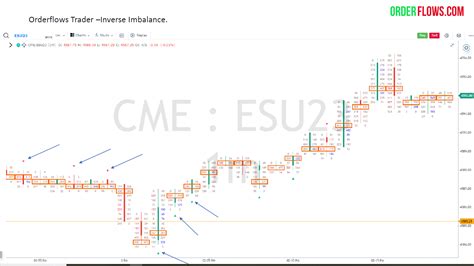 Orderflows Trader - GoCharting