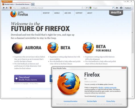 Download Firefox 3.6 Final