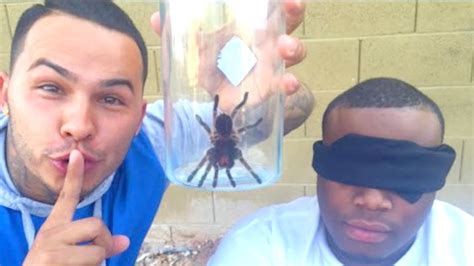 Image result for Prank Fails